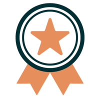 Icon Standards