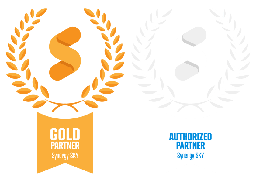 Synergy_Partner_Authorized_hero ex