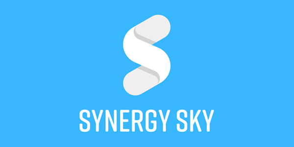 Support Portal | Synergy SKY